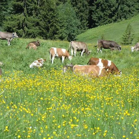 Luxussátor Alpintours Montaneo Schlummerfass *