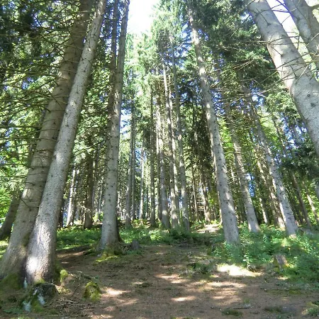 Alpintours Montaneo Schlummerfass
